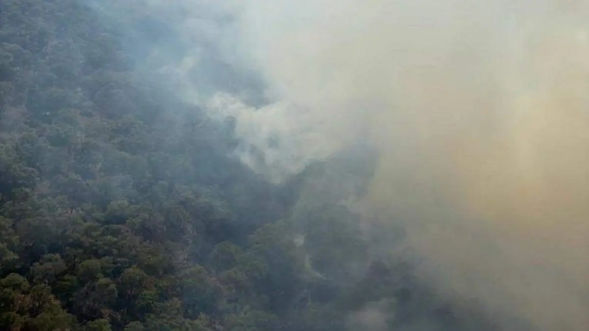 Incendio La Primavera